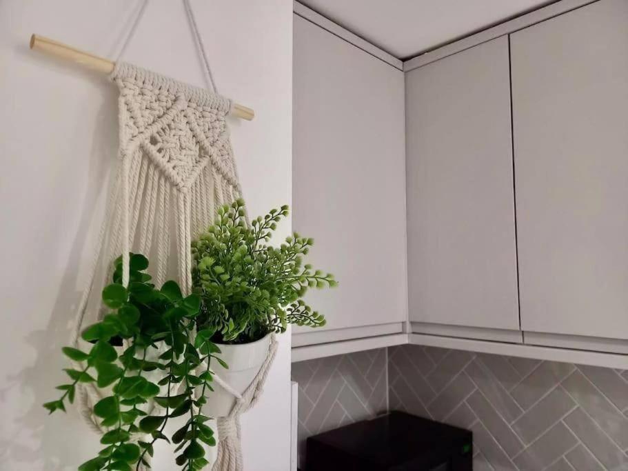 Flash Sale Kemptown 1 Bedroom Flat Bn236Stg04 Brighton Eksteriør billede